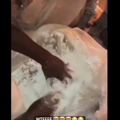 A bunch of idiots