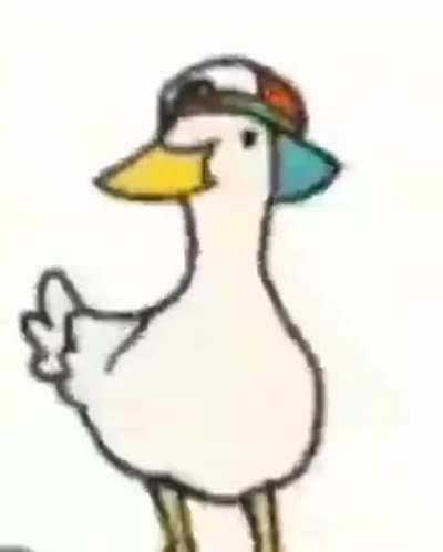 Duck