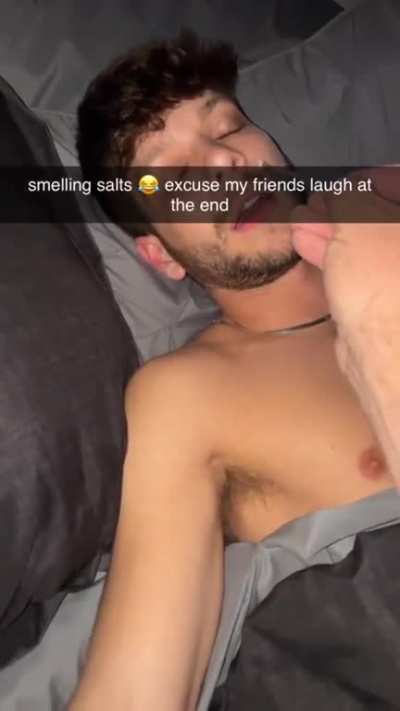 🐴🐴🐴
