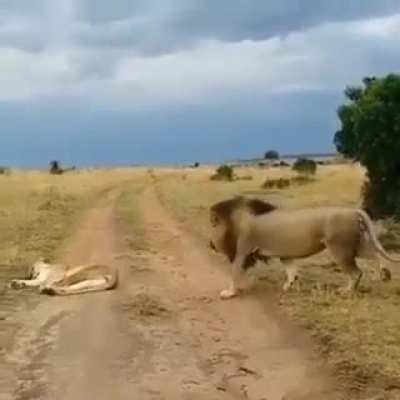Never disturb wifey if she's asleep.