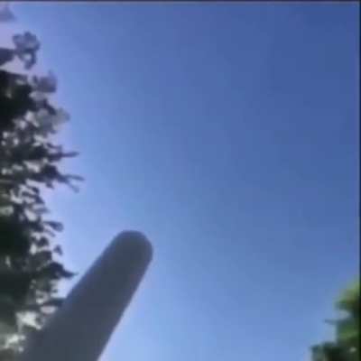 rocket rat