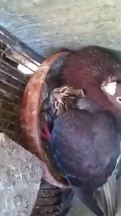 Не тронь!