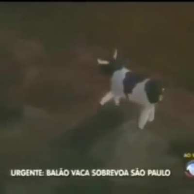 Ataque bio Terrorista.