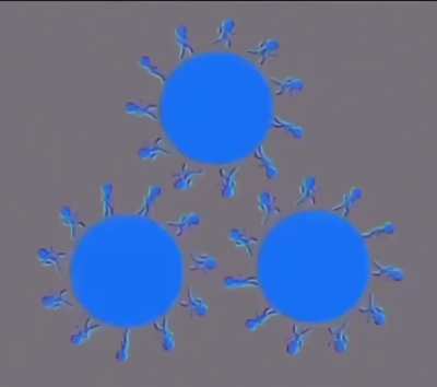 None of them are actually moving