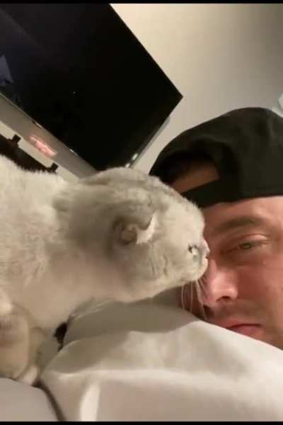 Haha, cat go meow