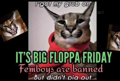 I know its tuesday, but i had to post. Also who is your favorite femboy? Mine starts with an F.