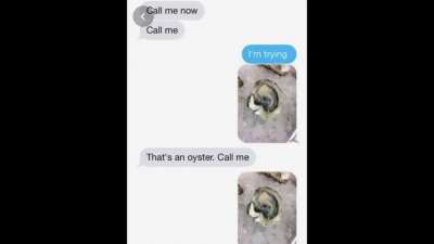 oyster