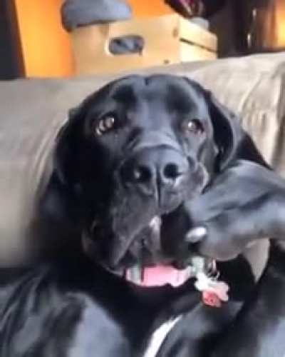 Contemplating life
