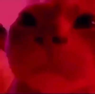 yes