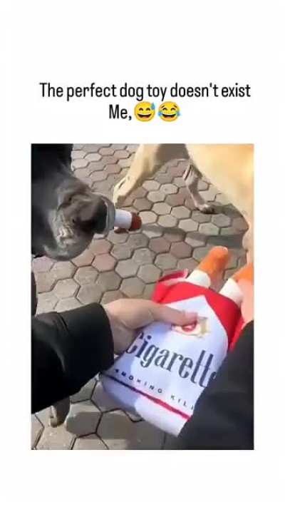 perfect dog toy doesn't exi...