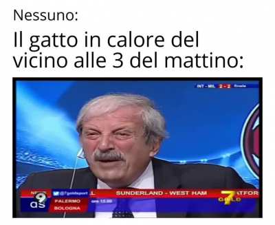 MiAoh mIaOh!