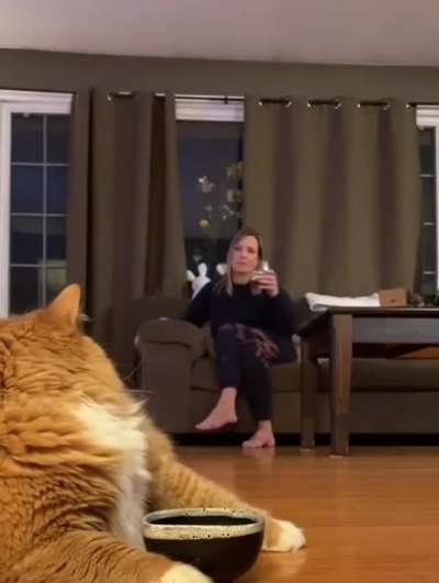 Maybe you haven’t noticed my bowl is empty