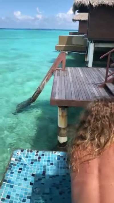 Honeymoon Sex Tape in Paradise-Sex Vacations !!