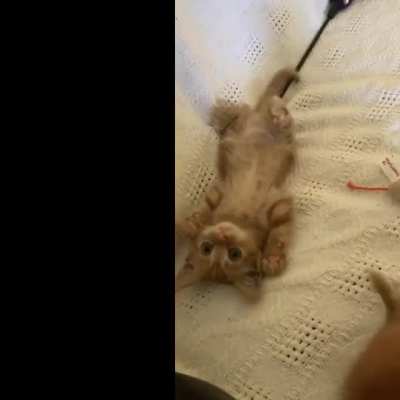 I actually can’t with this level of cuteness.