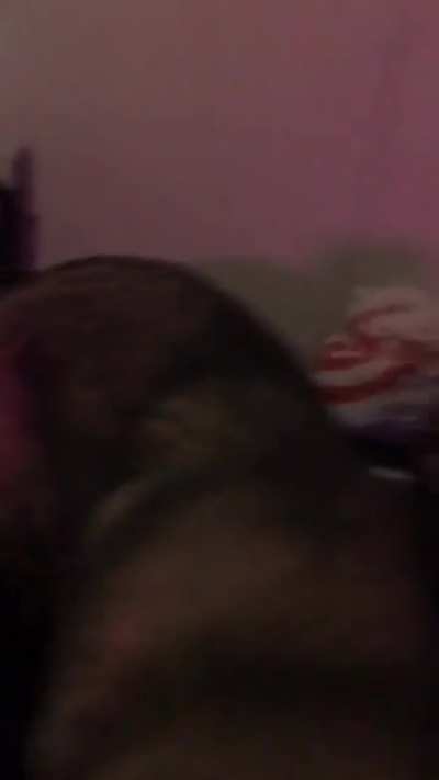 The Dog's Reaction!