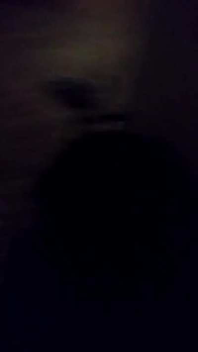 Laser beam kitten