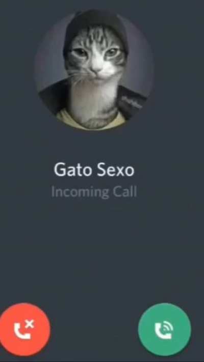 Gato Sexo is calling!!!!😎😎😤😤