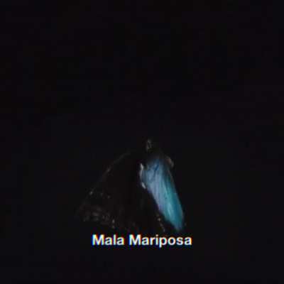 Mala Mariposa Slowed and Reverb. Hopefully this sounds good since I made it on my phone but yeah enjoy. 🦋🪐
