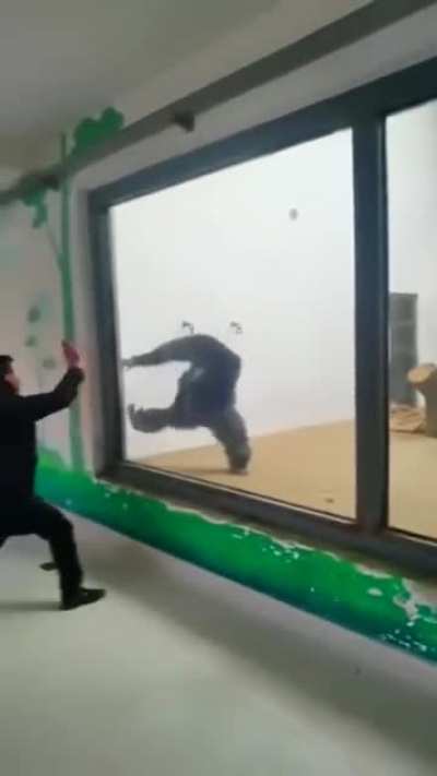 Guy intimidating a caged animal