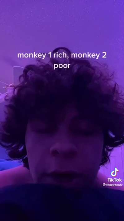 More monke wisdom