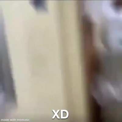 XD