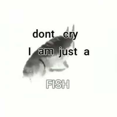 feesh