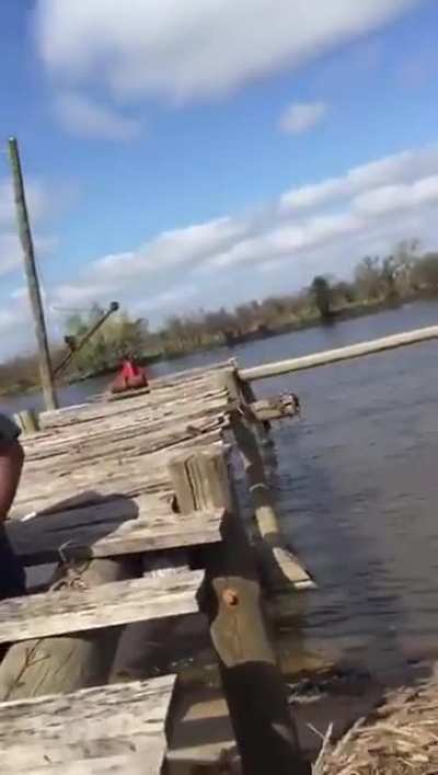 Never trust an old dock