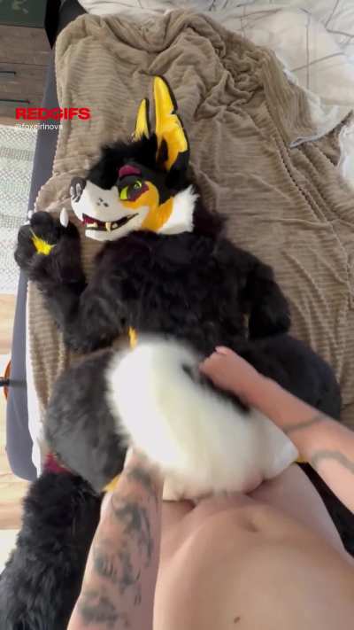 Look at that fluffy ass 🐶[Fox<wbr>girl_<wbr>Nova]<wbr>[M&am<wbr>p;F]