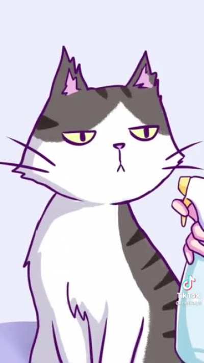 Kitty calls a bluff