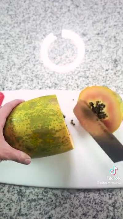 Using the same knife Gordon Ramsay uses