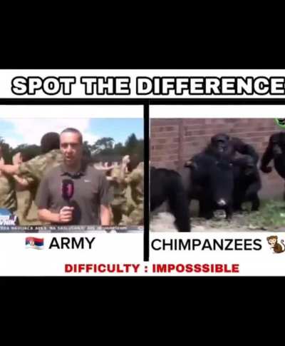 🚨BREAKING: Monkedonian drill instructors to finally bring servian army to world power status