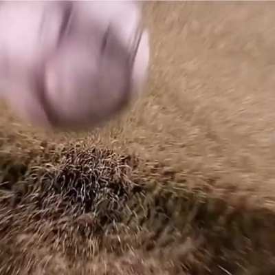 Maybe maybe maybe