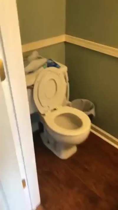 [OC] Car Horn Toilet Seat