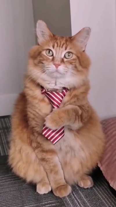 A very handsome boy.