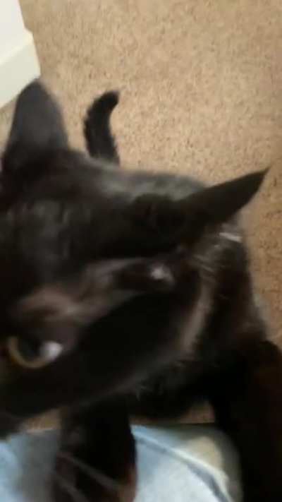 The void wants up