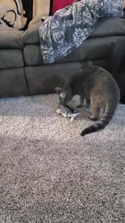 Fish! (Sorry for background noise)