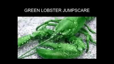 lobter