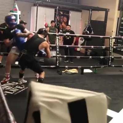 Oscar valdez sparring with canelo Álvarez