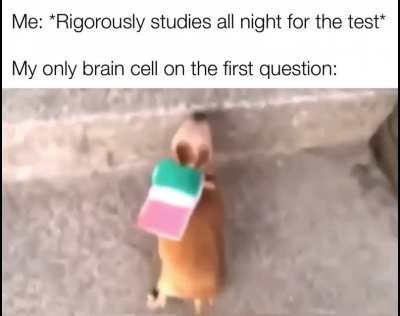 Me📄irl