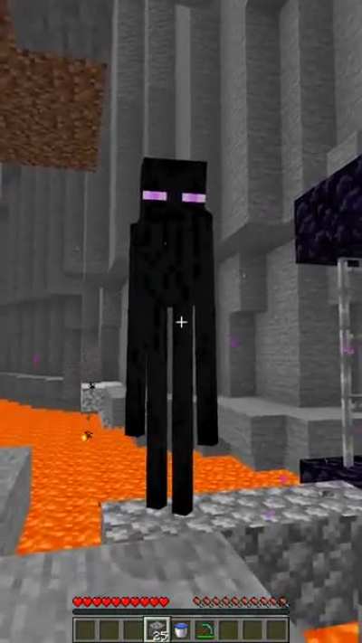 Adam ya adam enderman