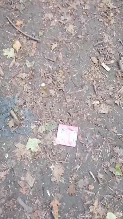 Prowling around the naughty woods xx