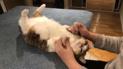 Rub rub rub rub