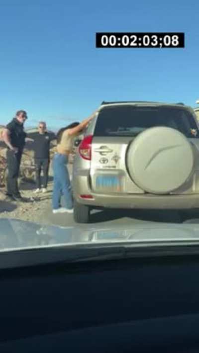 police stops the car and meets a known person