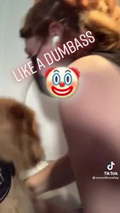 Good boy help it's owner.