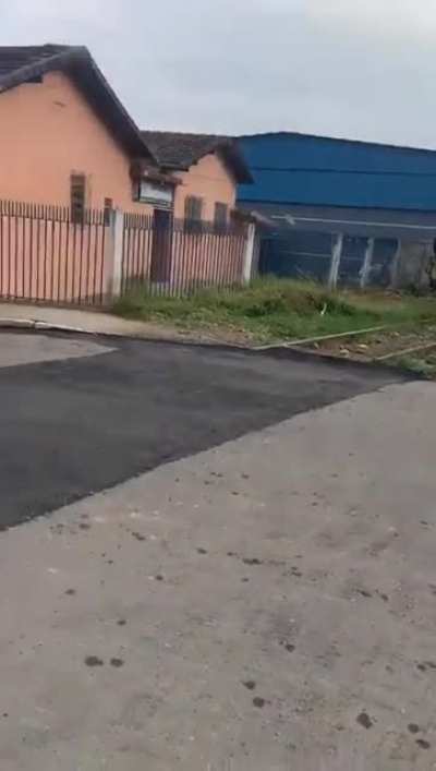 Platinaram o termo 