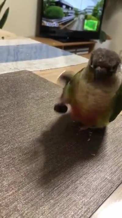 Leg day