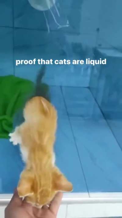 undeniable proof