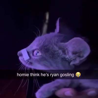 Fr