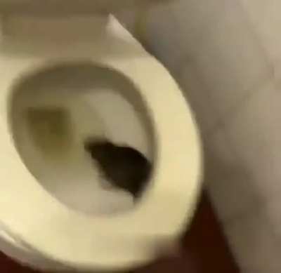 5 seconds