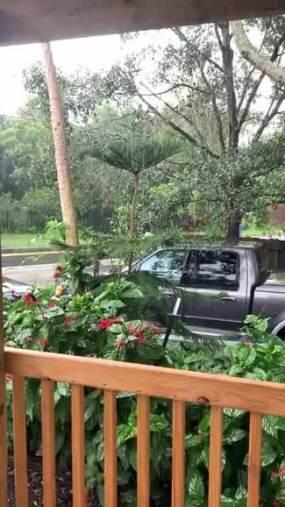 Florida Rainy Season 🌧
